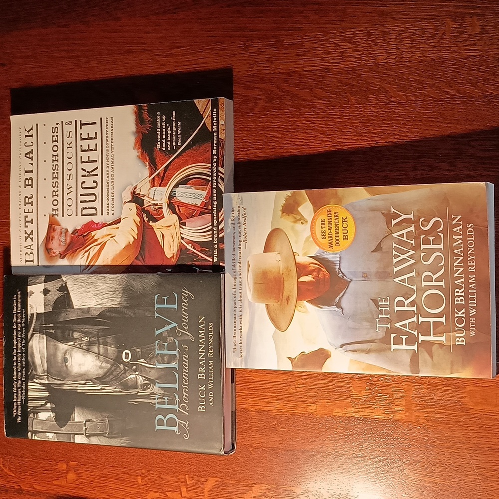 Cowboys Horses Book Bundle b250